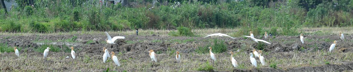 江苏惠山中等专业学校招生办联系电话
