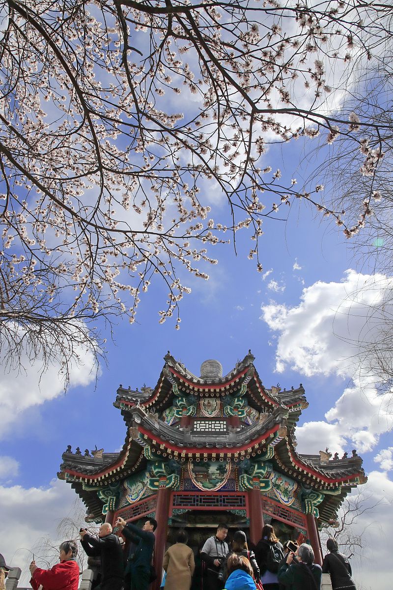 昆明2022年卫校哪个比较好