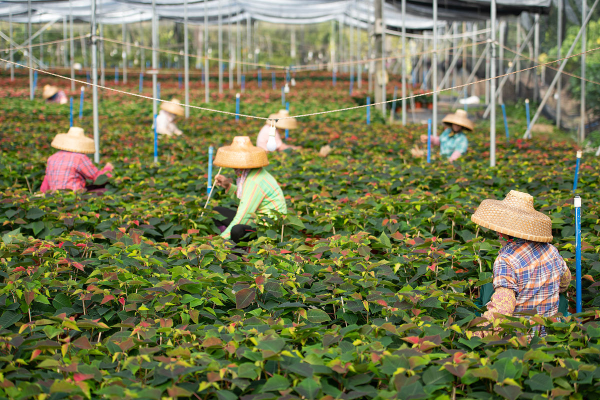 四川省农业广播电视学校2019年招生「简章」