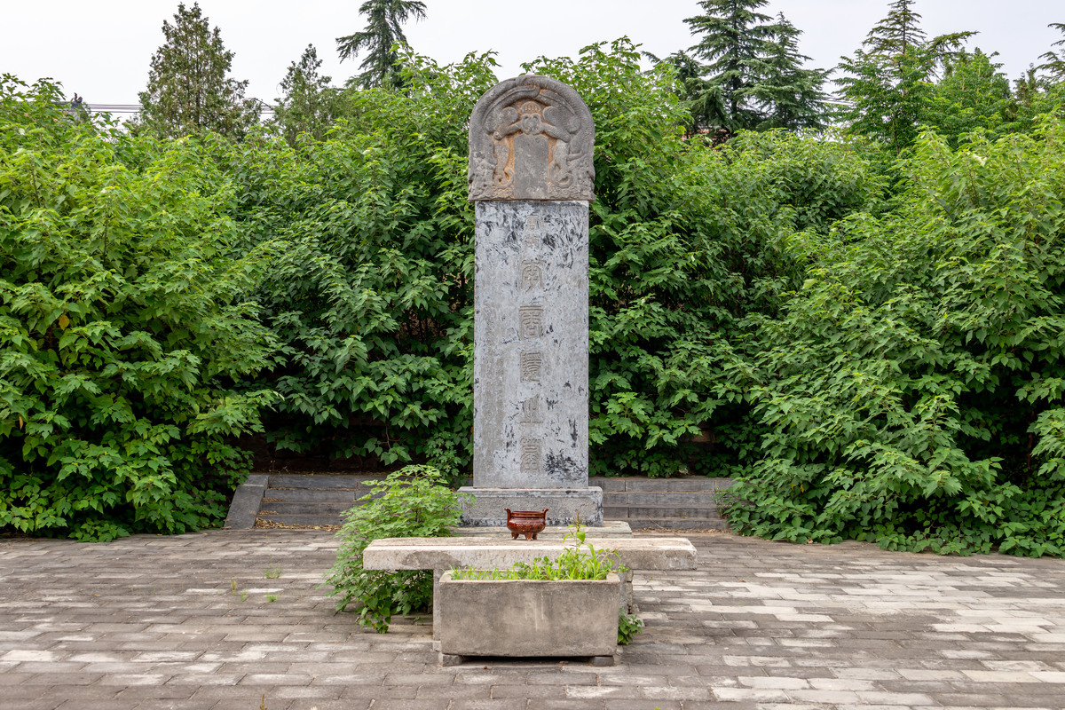 焦作卫生医药学校招生专业都有哪些