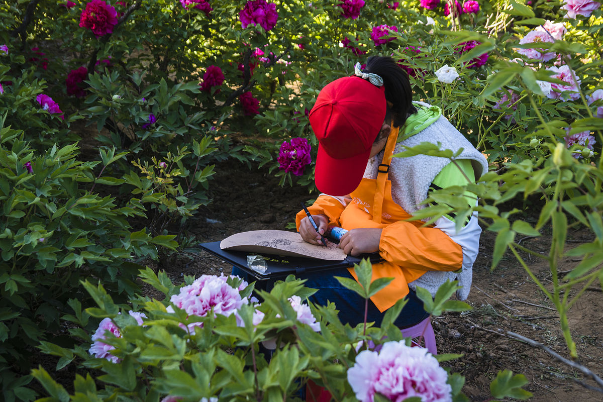 柏乡职教中心2021年招生条件是什么