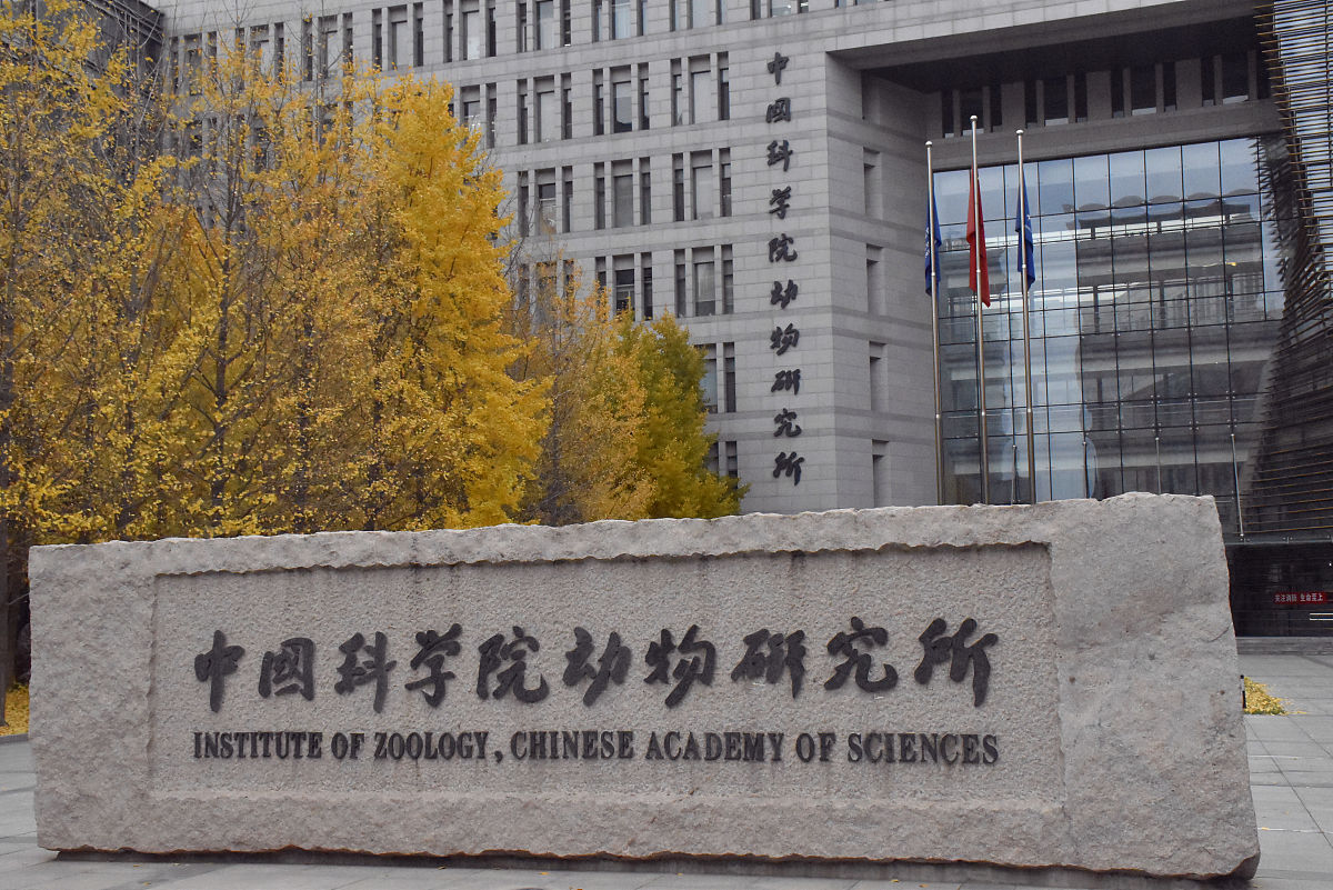 北京航空航天大学的生物医学工程与北京理工大学生物医学工程研究生哪个更胜一筹详细说明10000字必须做出比较