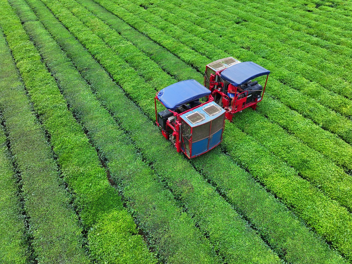 计算机与电子在农业中的应用：推动农业科技创新的国际期刊