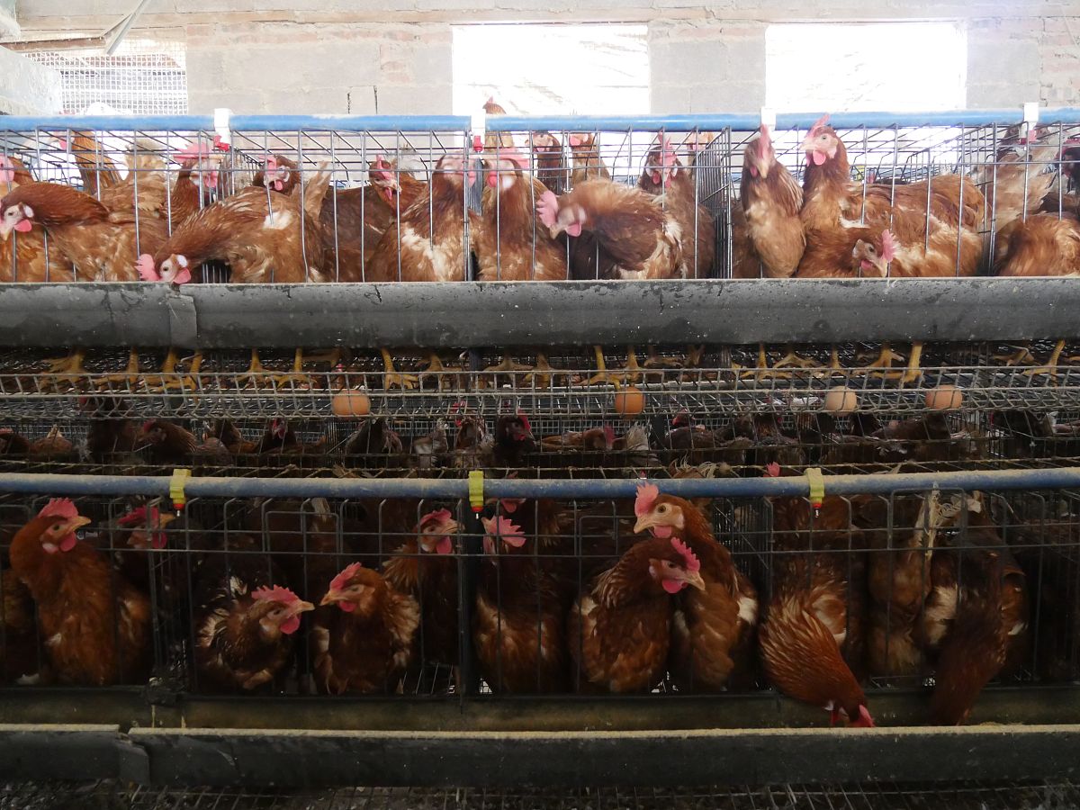 重庆初中毕业能上职业学校哪家好