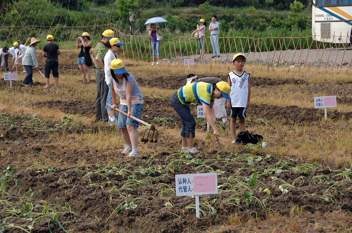 大学暑假期间调查简阳市土地流转并写一篇社会实践个人总结字数2000左右