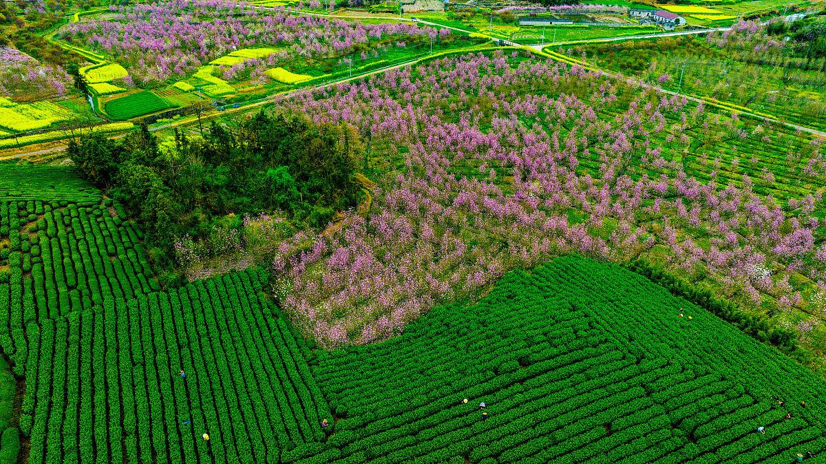 2022年嵊州职业教育中心招生简章 - 高素质技术人才培养基地