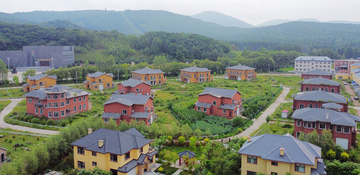 泸州市大山坪街道综合为老服务中心养老综合体服务模式研究