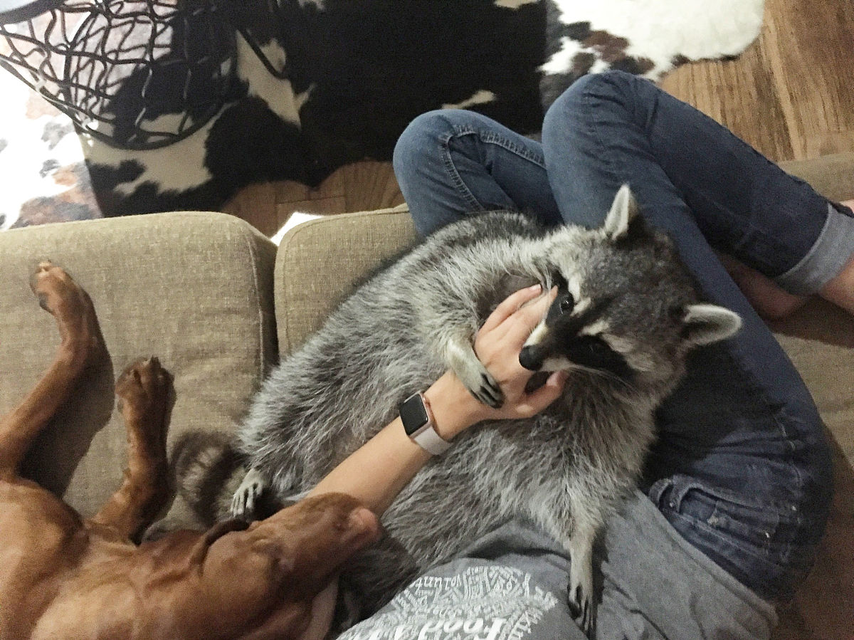 如何降低暴击并提升生存能力？