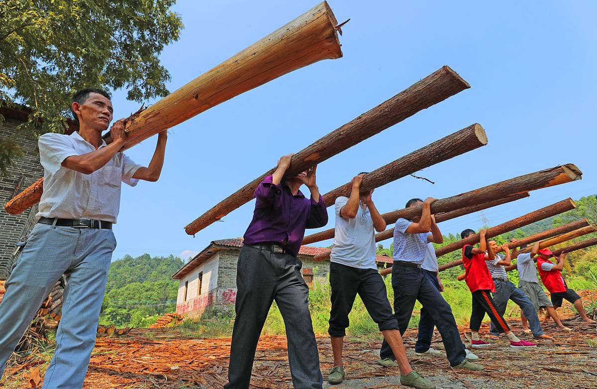 安徽林业职业技术学院市场营销专业怎么样