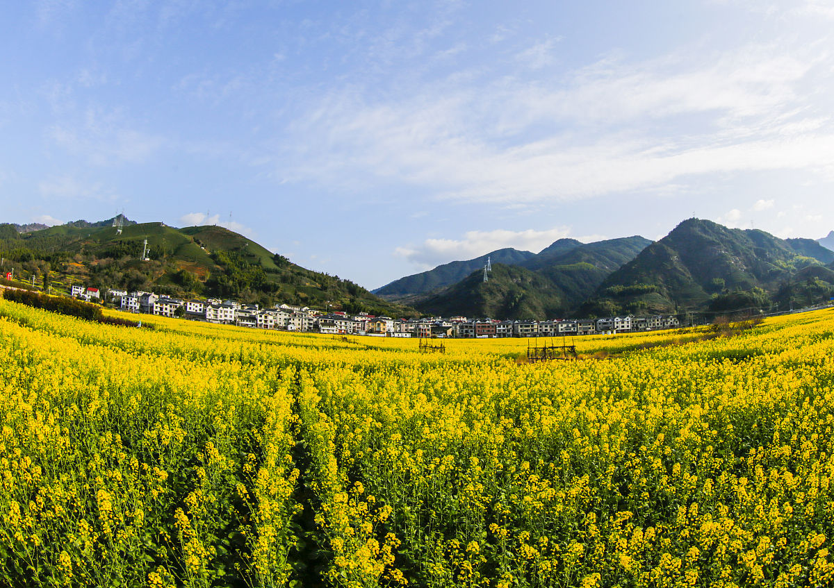 A村视角: 透析村级会计委托代理制度的规范与完善