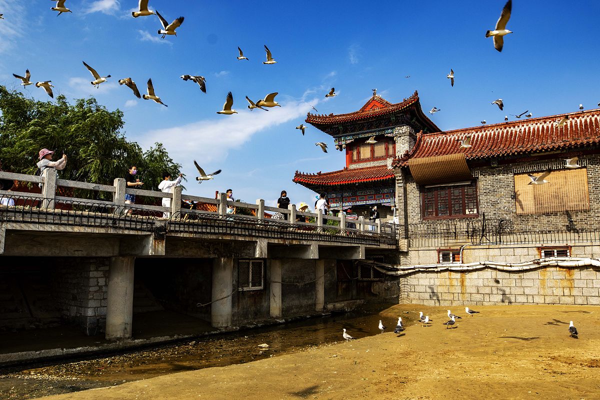 烟台旅游学校2023年3+2招生简章 - 旅游管理专业火热招生中！