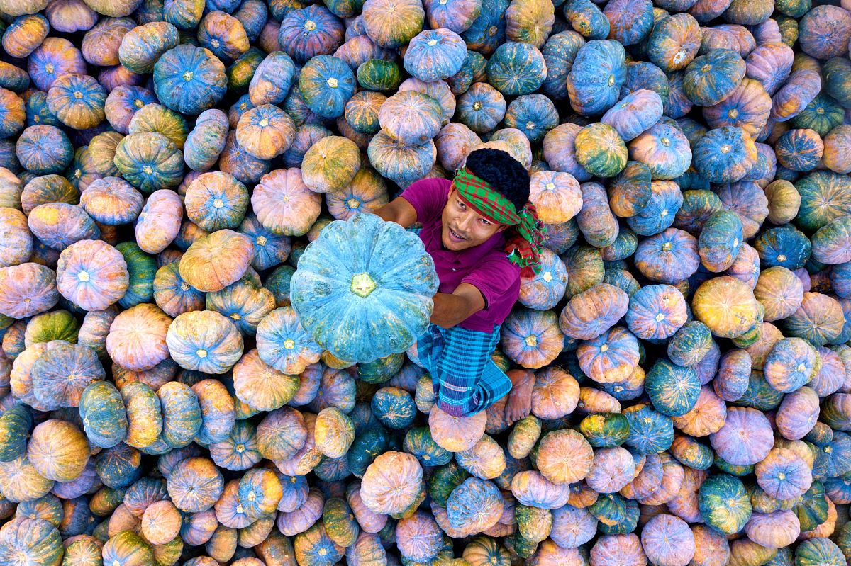 辽宁传媒学院影视摄影与制作专业：如何选择？