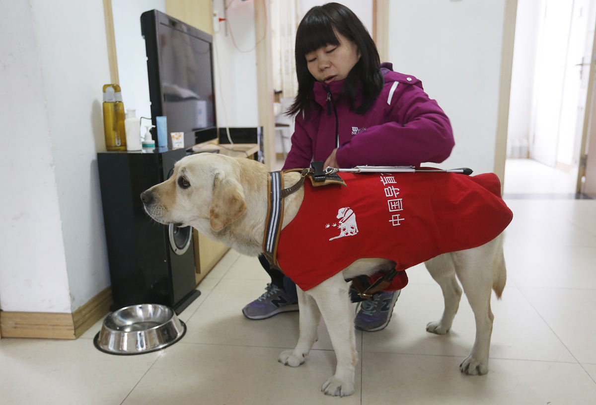 导盲犬禁止入内盲人能否入内