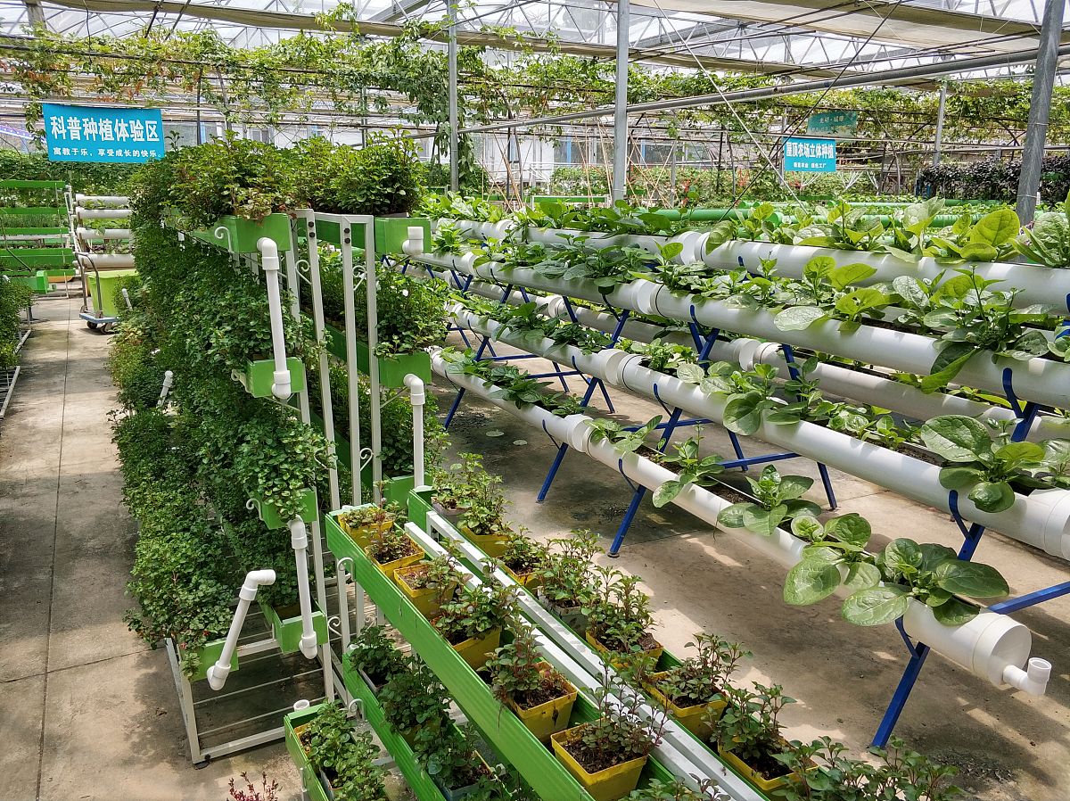 农业科技小院科普图书项目的应用范围与普及前景的一段1000字的话