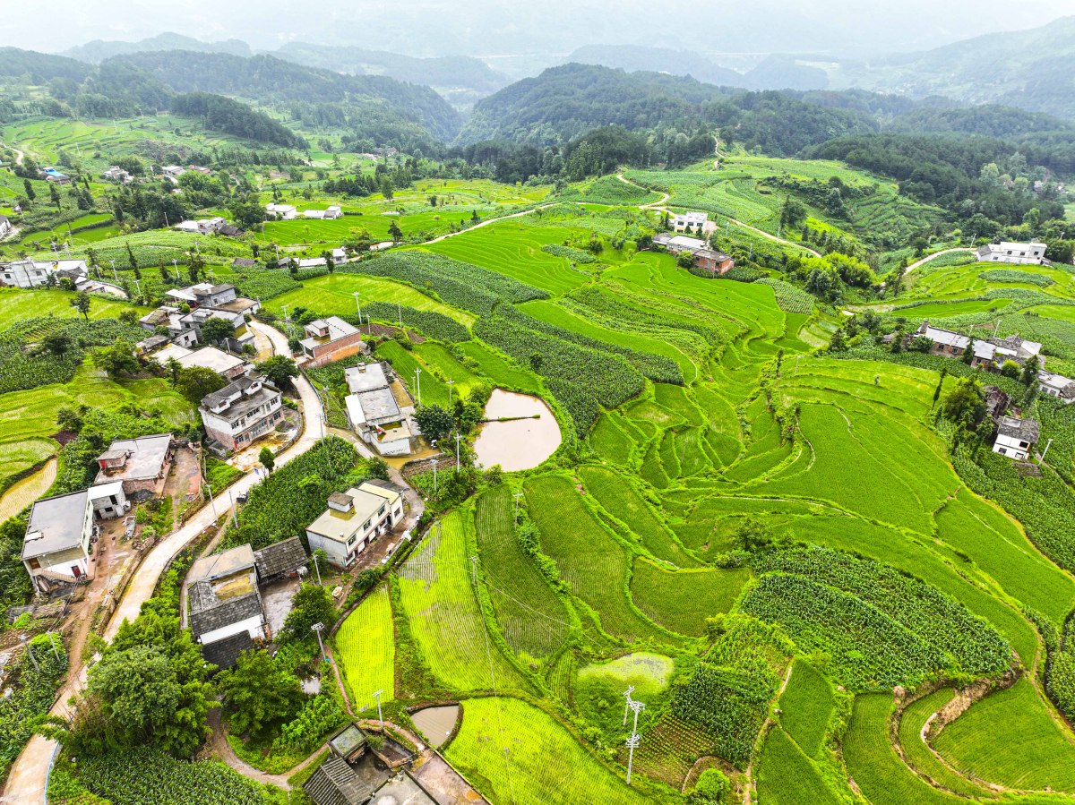 倒数第五----资阳 倒数第四----文山 倒数第三----安顺 倒数第二