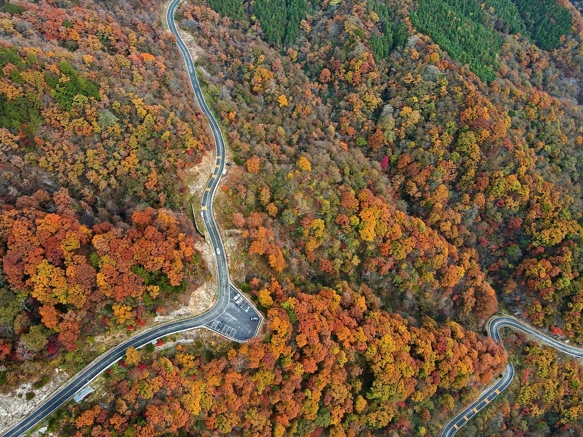 安徽的马丁公路好走吗？