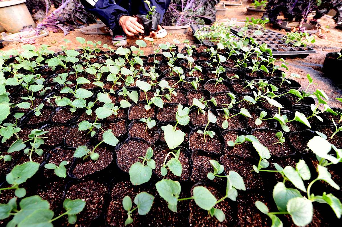 辽宁工程技术大学市场营销专业怎么样