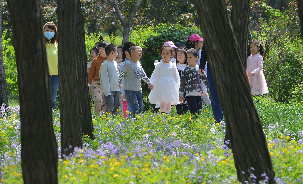 阳光明媚的公园之旅 - 小学生作文