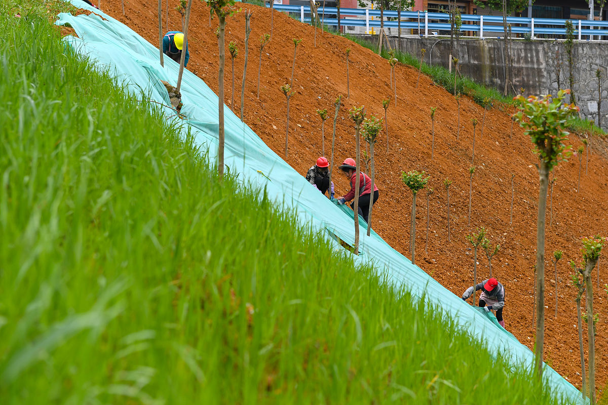 仁怀中等职业学校2019年招生简章 - 贵州遵义市优质职业教育选择
