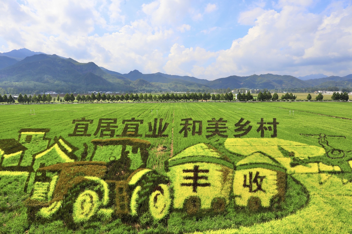 农村集体土地流转与开发项目：实现乡村振兴的有效途径