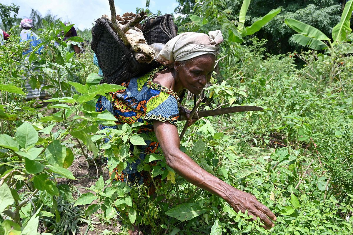 毕节市农业学校2023年招生简章 - 培养方案和就业前景
