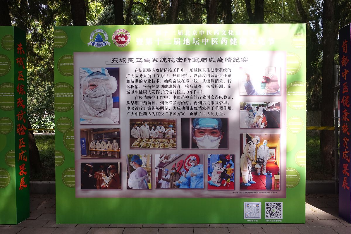 九头仙艾：振兴民族中医药，促进地域发展，维护人类健康