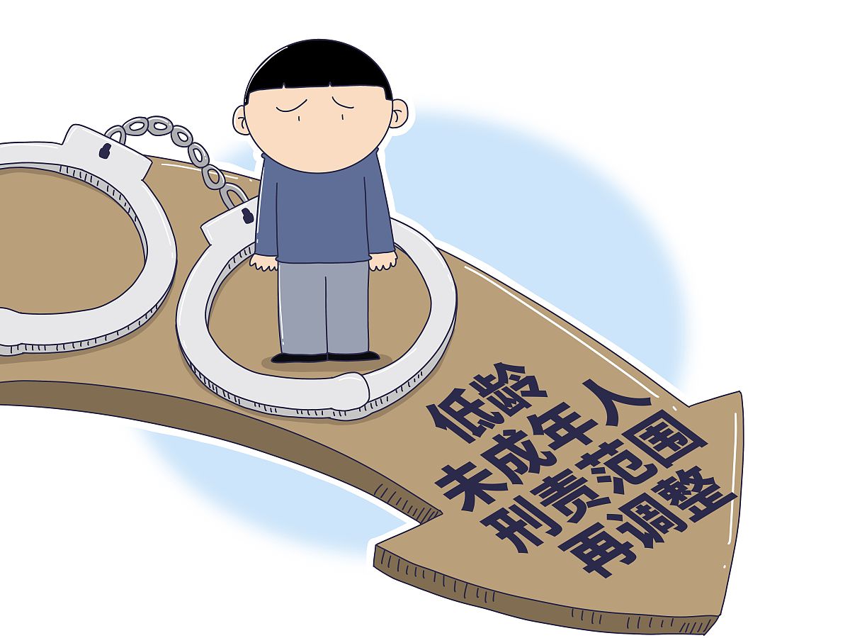 我国刑法重刑化趋势与积极刑法观的矛盾：轻罪化与负面影响