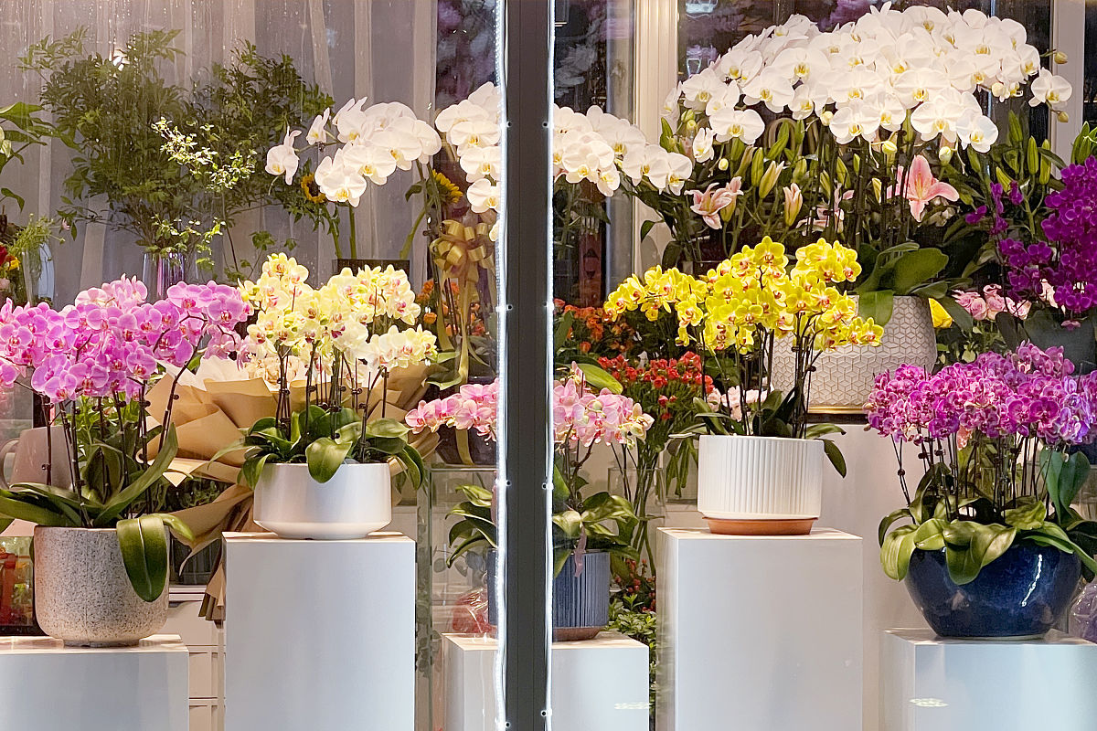 给一个花店品牌取20个名字和英文翻译包含花路或者花路的季节等相关要求表达热爱生活有仪式感象征着繁花相送前程似锦。如同人生的旅程让花路季为你点缀一段美好回忆。并写出每个名字相对应的的创意文案