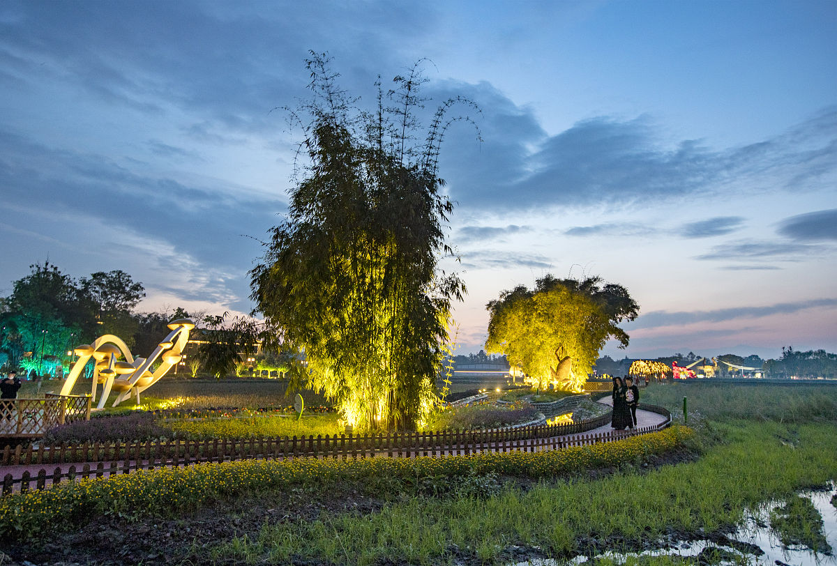 成都市郫都区四川科技职业学院护理学院怎么样？