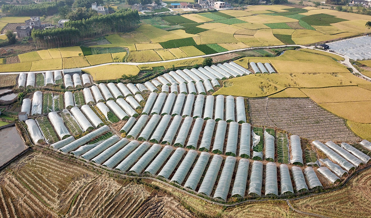 中国国际工程咨询有限公司农村经济与地区业务部