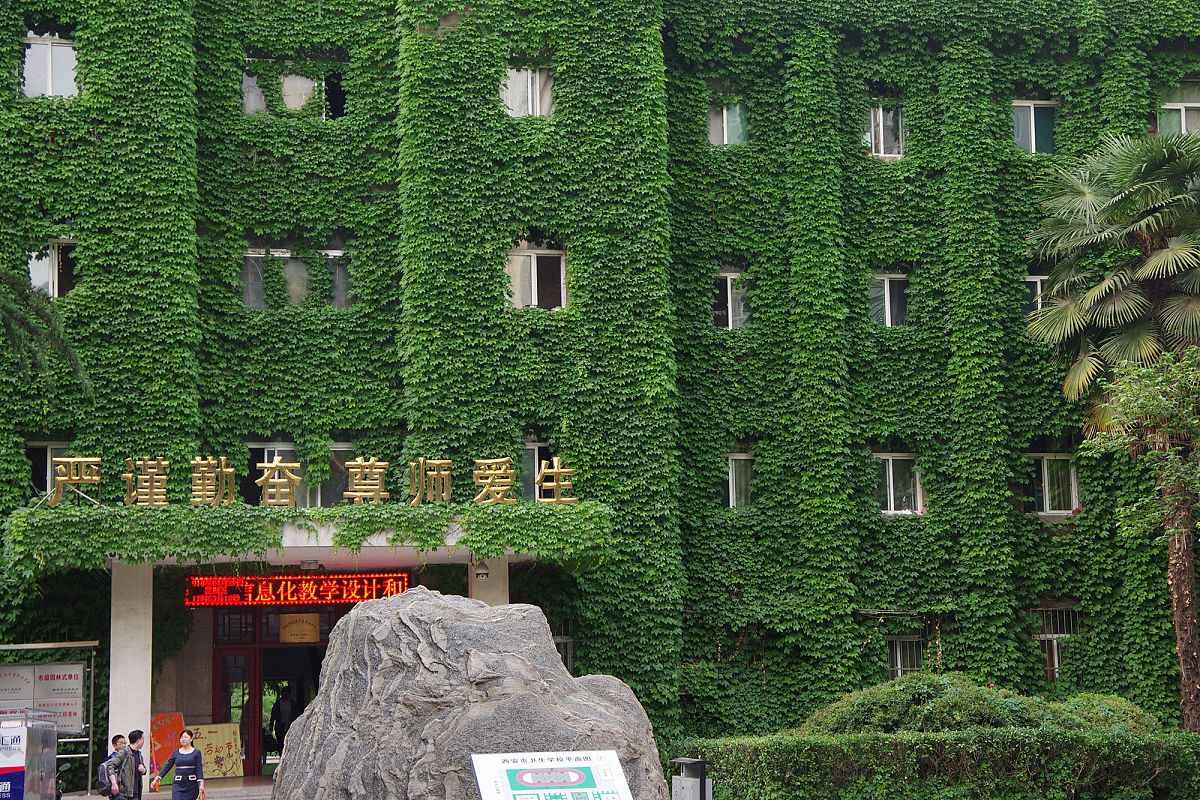 成都卫生学校招生：未参加中考的学生也可以报名吗？