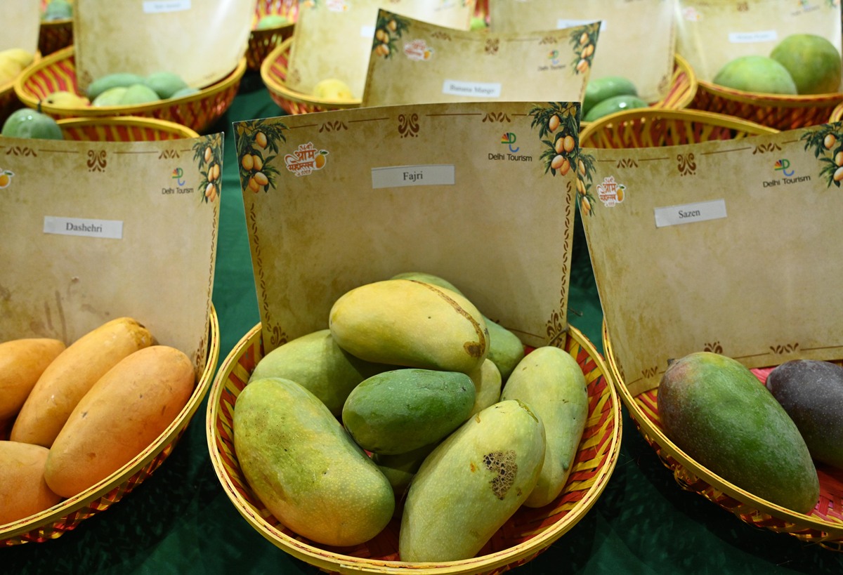 芒果出现那种很小很小的虫子要怎么办？