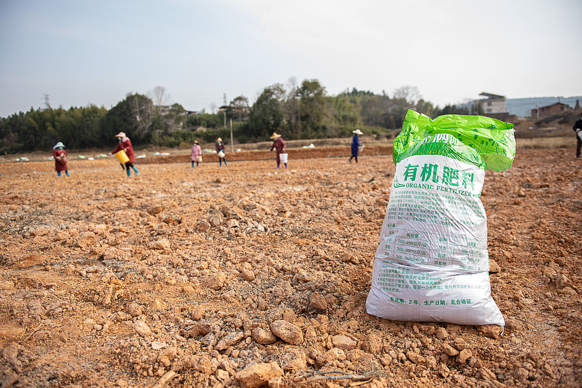 湖北双港有机肥可以做西瓜窝窝肥吗