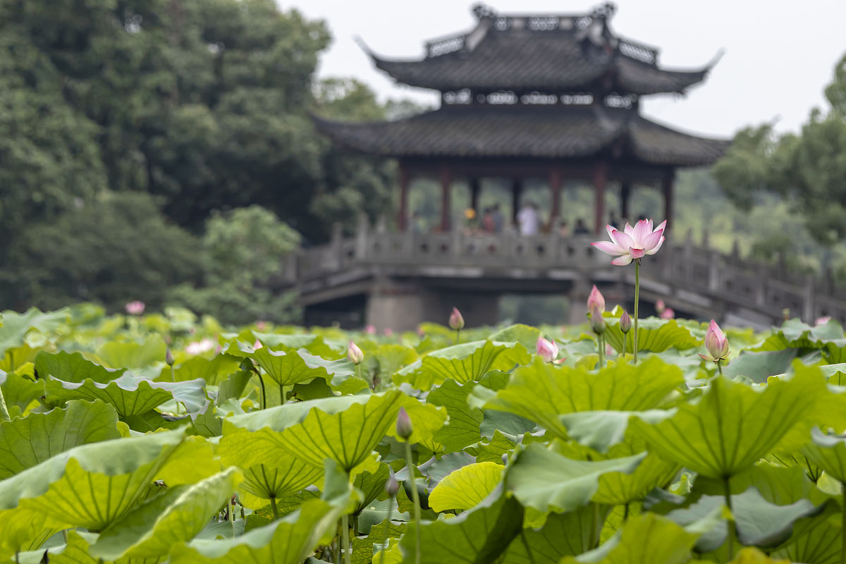 杭州西湖职业高级中学2021年招生条件 - 高素质技能型人才培养基地