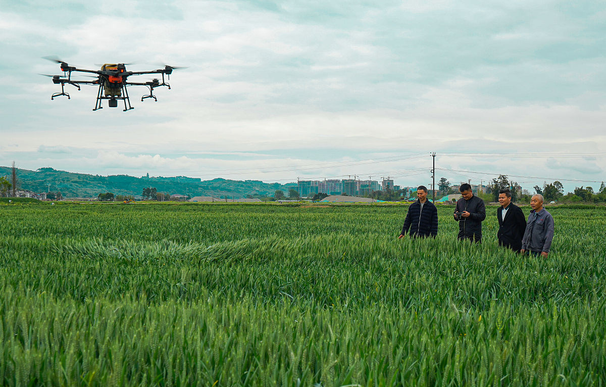 2018眉山职业中学排名：选学校指南