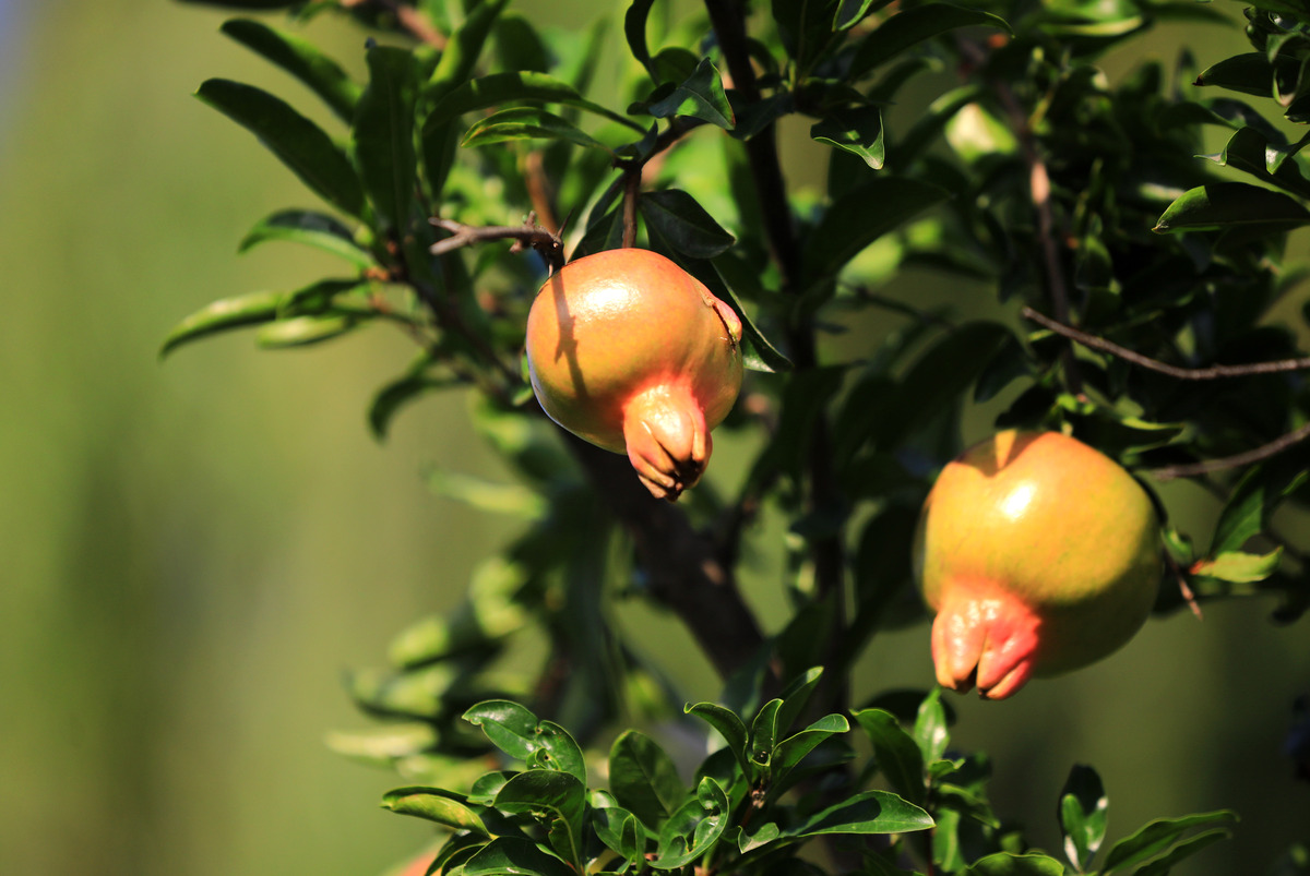 江苏2023年有什么中专学校就业好-怎么样