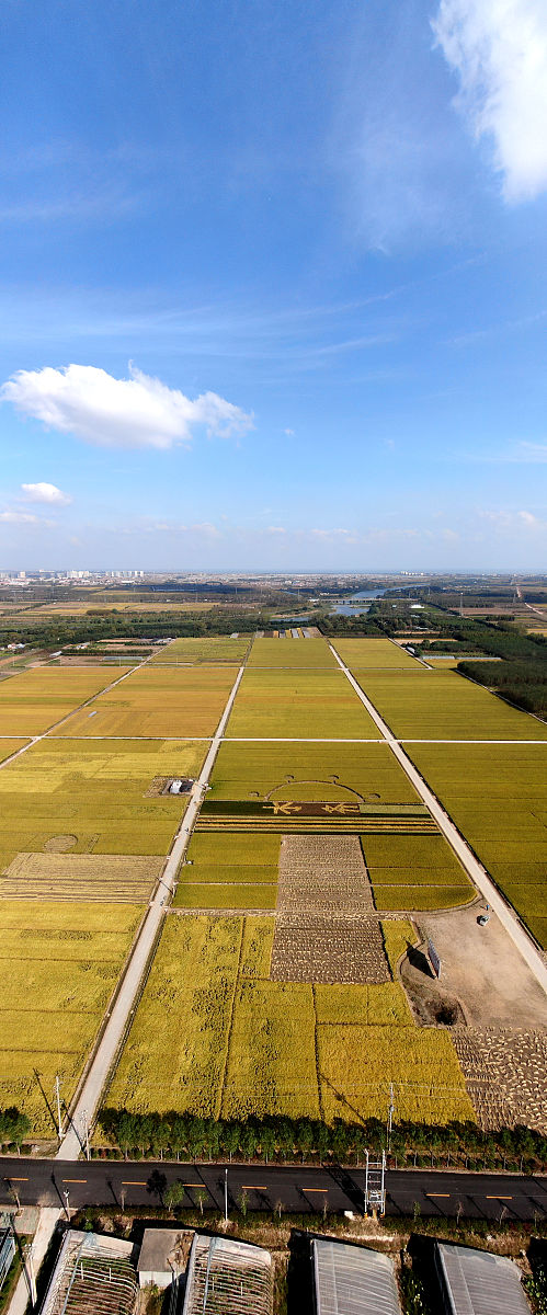 小米8电池改装直供：延长续航，提升体验 - 专业维修指南