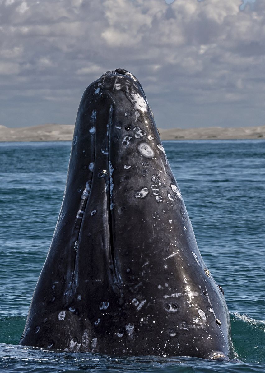 荣成市好当家集团海洋学校招生条件招生分数
