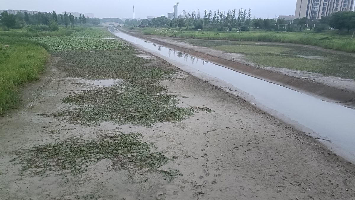 请以学术化的方式将这段话改写通过调整语序、增减字数、替换同义词等方式避免与原文出现连续8个字相同的句子使这段话更加具有逻辑符合论文的规范：a封闭技术：封闭技术是指通过阻断、捕获释放的污染物或者对受纳河流进行改道来控制污染物的泄露。可在污染物的扩散方向上修筑护堤、水坝或挖掘沟槽来阻断污染物特别是油类污染 物的进一步扩散或对泄露污染物进行收集。护堤和水坝的修筑材料包括泥土、沉积物、砾石、粗砂、沙袋或木