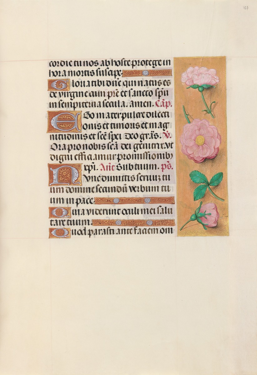 English Poetry AppreciationI died for Beauty—but was scarce The poet says that she died for Beauty but she was hardly adjusted to her tomb before a man who died for Truth was laid in a tomb next to he
