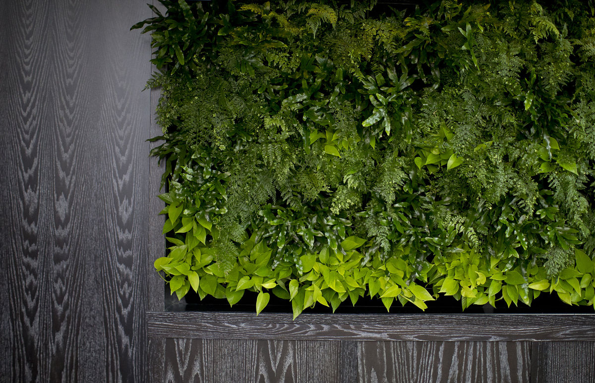 2023年仙桃新亚电脑中等职业学校招生专业都有哪些-好不好