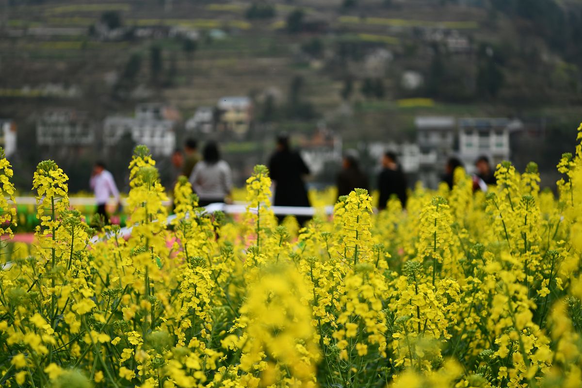 贵州经贸学校2022年招生简章 - 培养高素质人才，开启未来之门