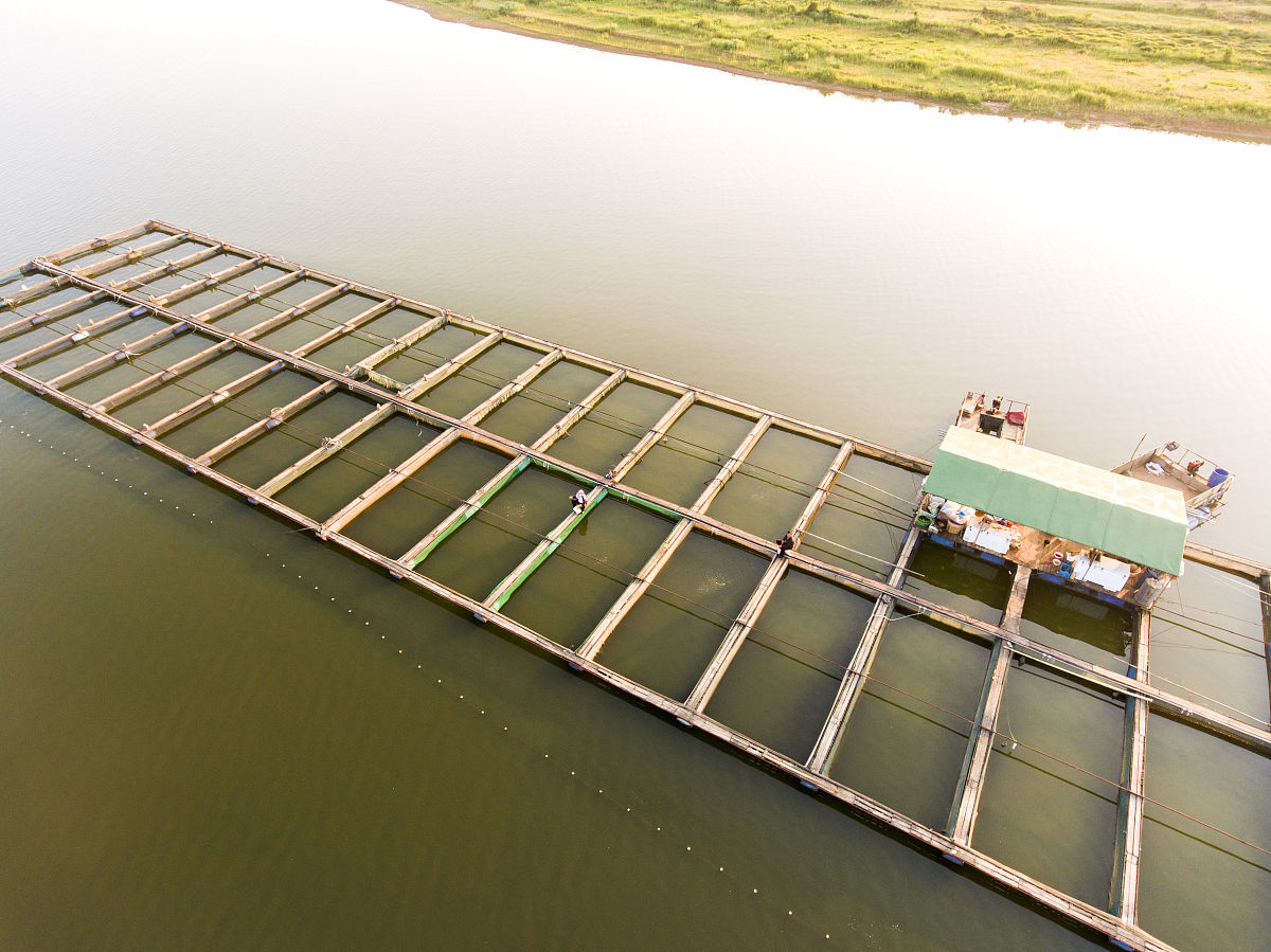 沔 字怎么读？ - 沔字读音详解