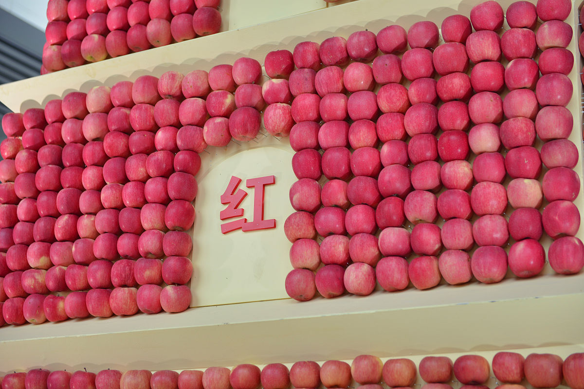 抚顺市农业特产学校2022年联系方式：电话、官网、地址