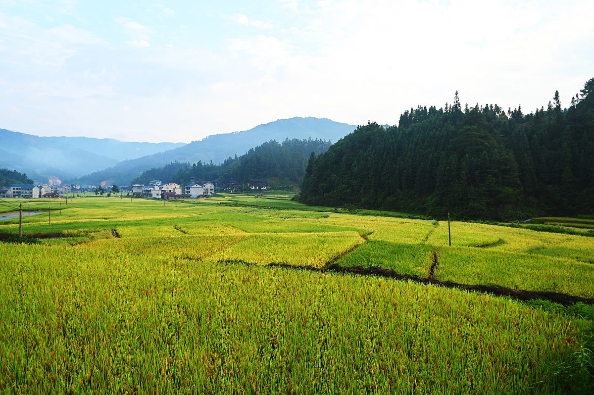 贵州哪个高职院校的临床医学专业好