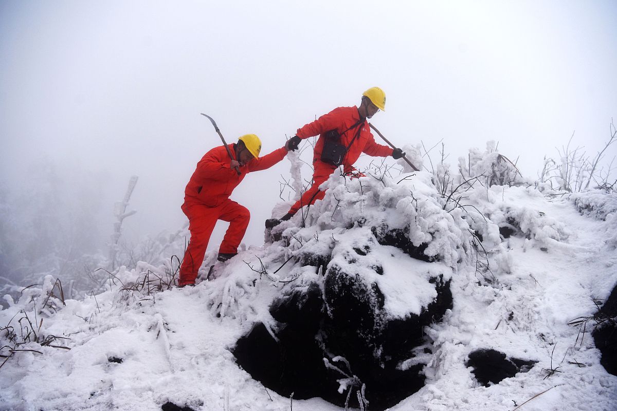 重庆电力高等专科学校物联网应用技术专业：发展前景与就业优势