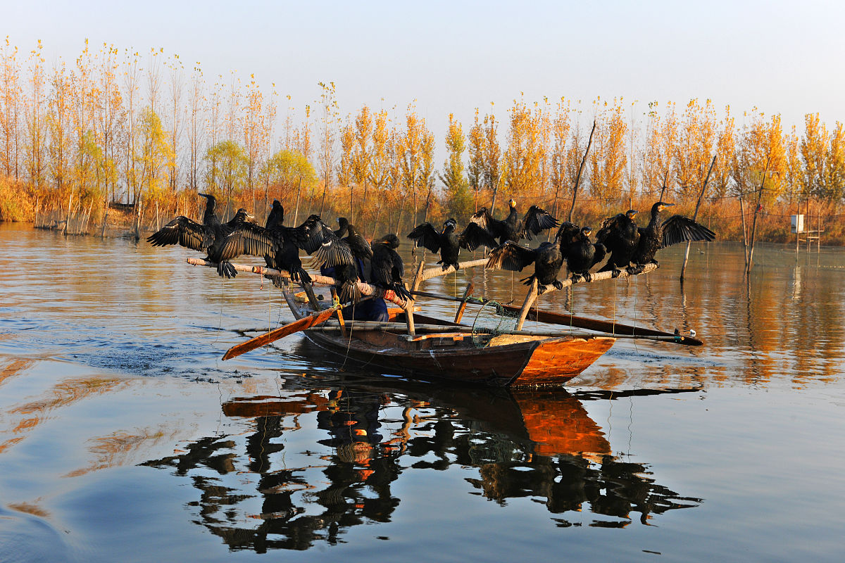 白洋淀秋景诗 - 赞美白洋淀秋天美丽的诗歌