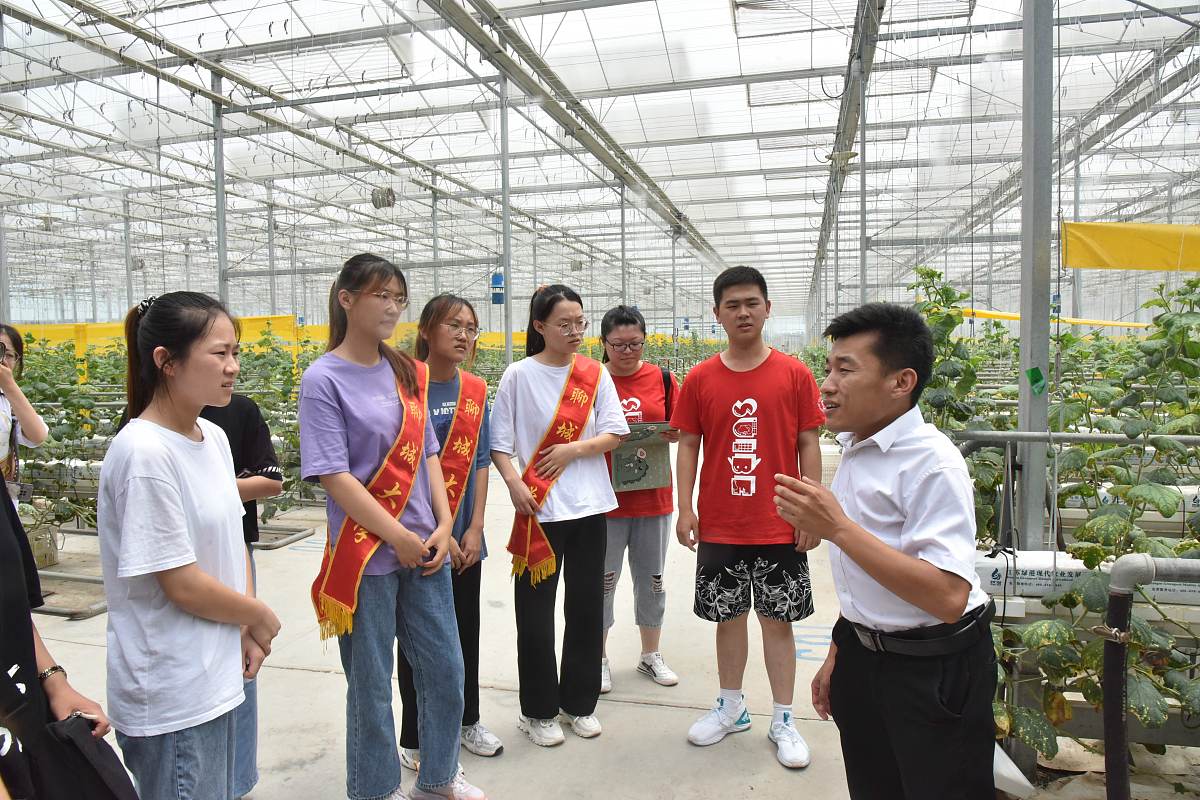 渭南合阳种植调研日志