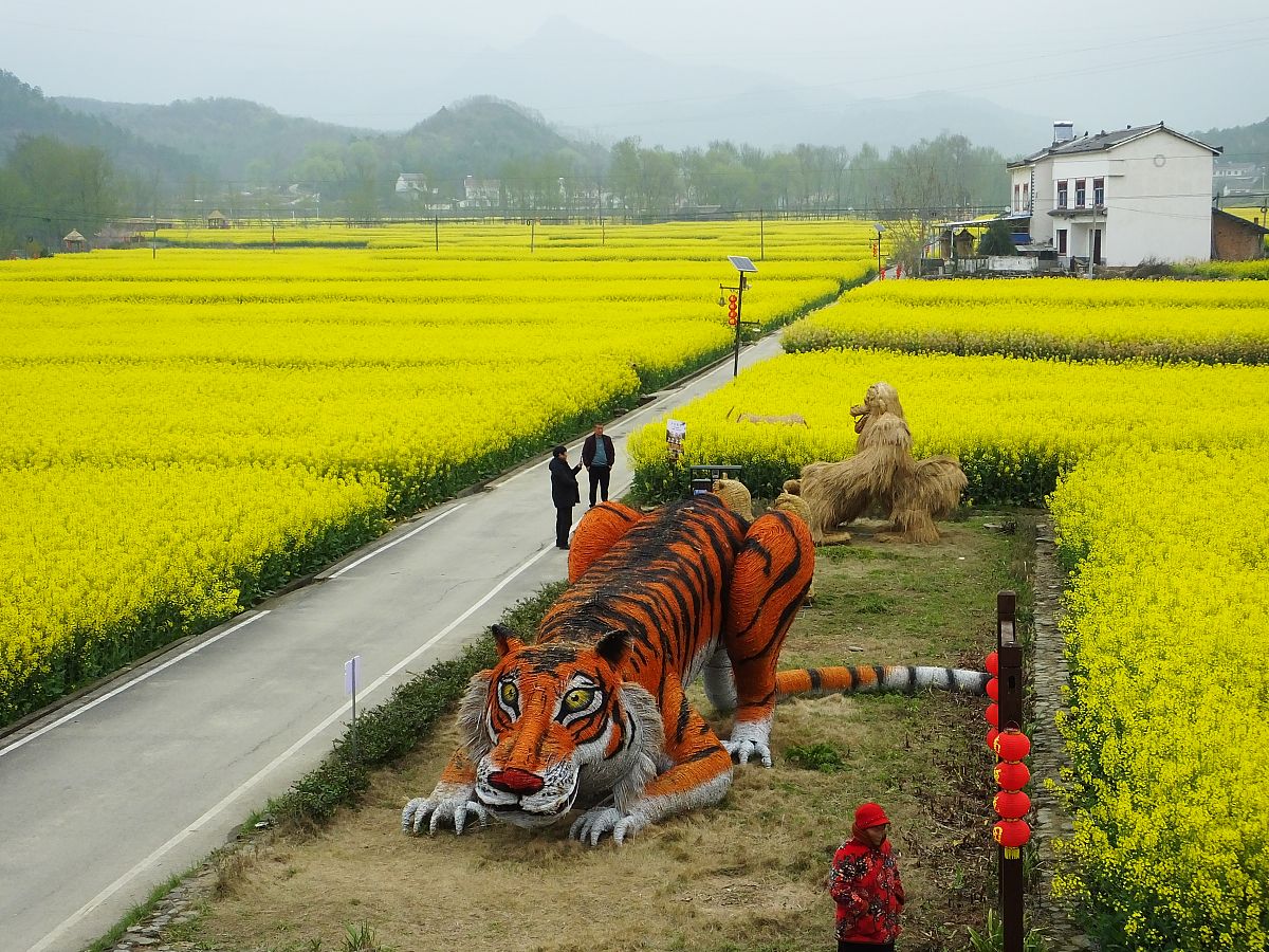 如果要给学生讲解一下什么是扎根研究该怎么讲