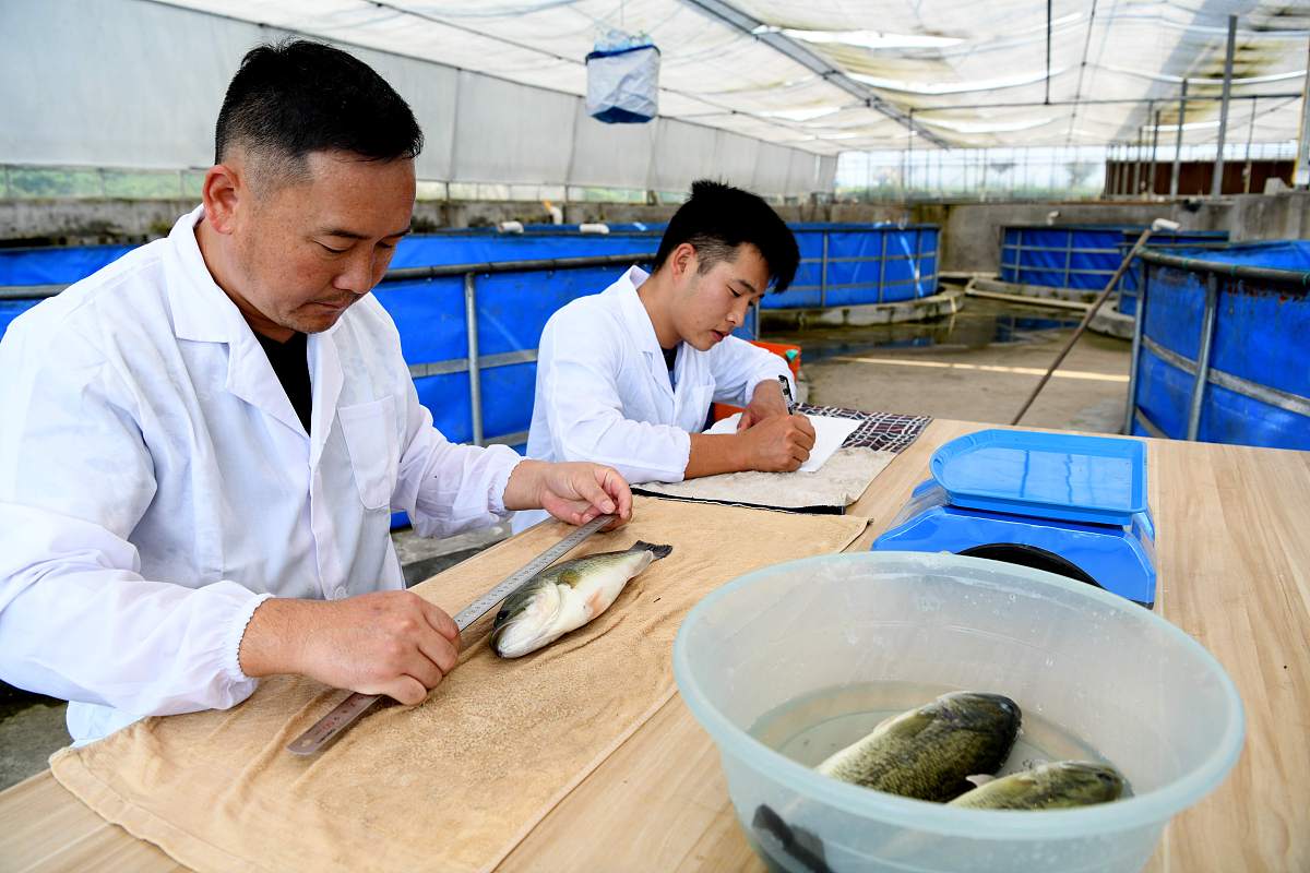 杭州萧山第四中等职业学校2022年招生方式 - 网上报名、面试、体检、校考